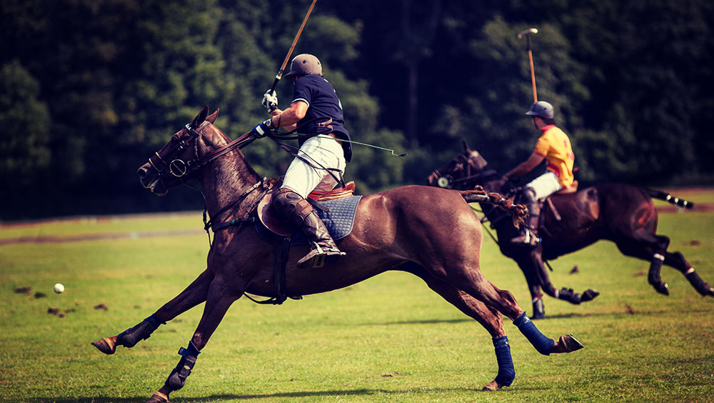 Sports | Polo, Royal Windsor Cup, June, London, UK