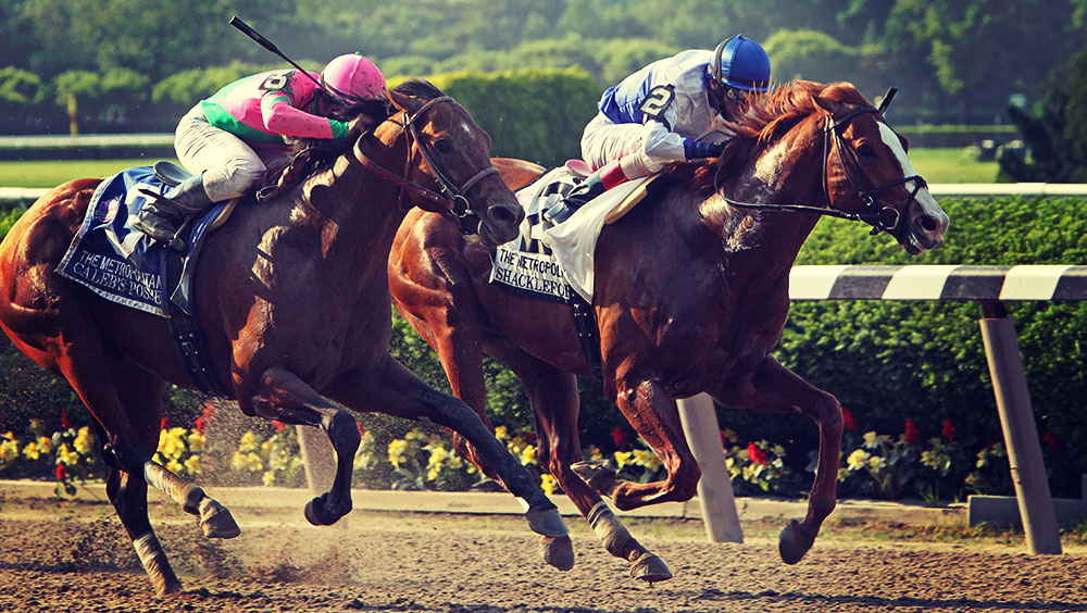 Sports | Equestrian, Belmont Stakes, June, Belmont Park, Elmont, New York, USA