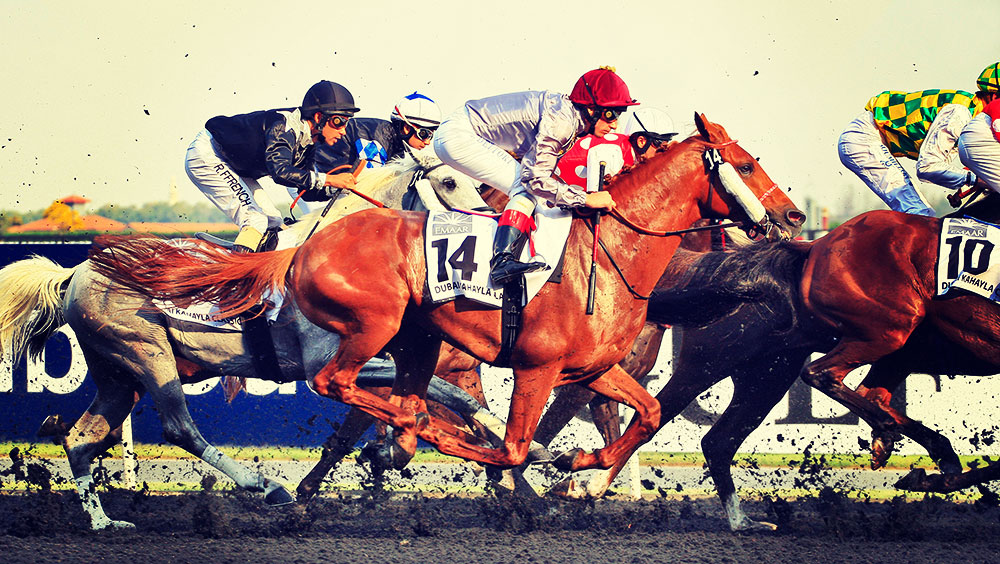 Sports | Equestrian, Dubai World Cup, Meydan Racecourse, March, Dubai