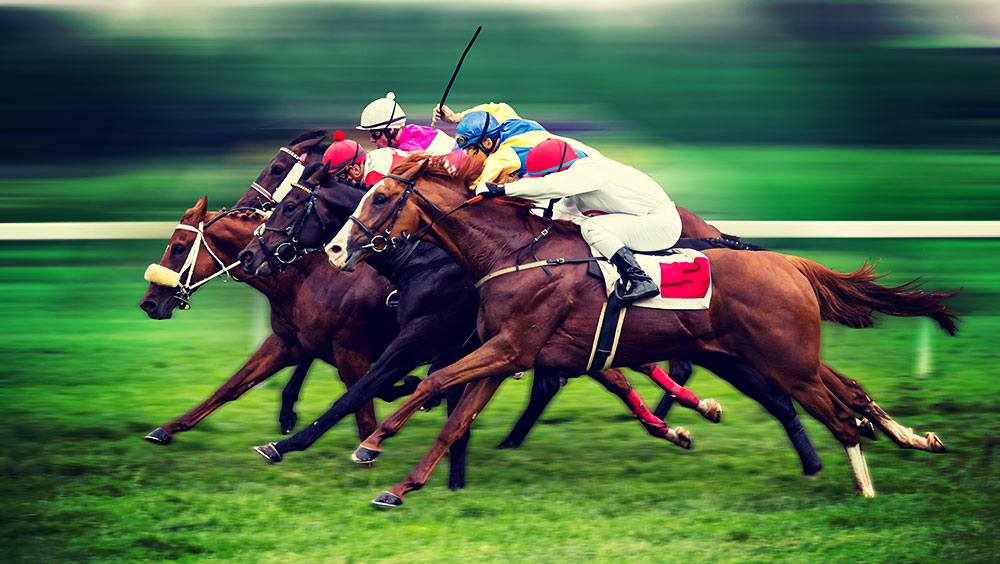 Sports | Equestrian, Qatar Goodwood Festival, Goodwood Racecourse, Chichester, UK