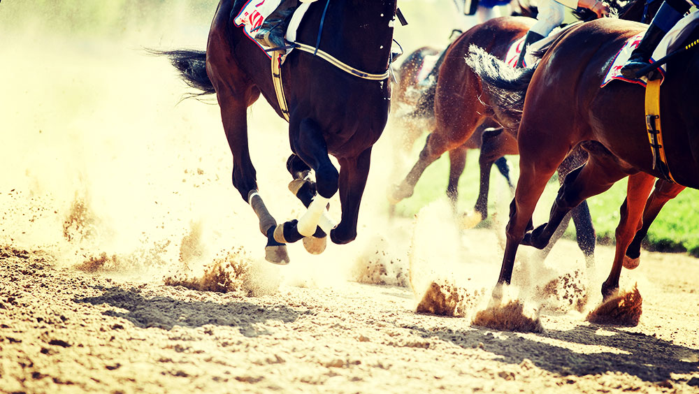 Sports | Equestrian, The Randox Grand National, April, Aintree Racecourse, Liverpool, UK