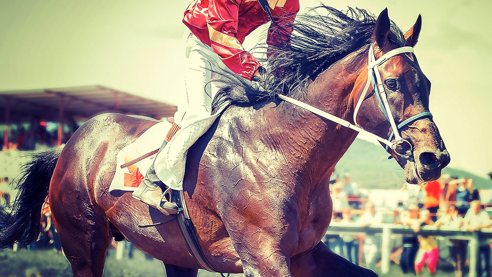 Sports | Equestrian, Kentucky Derby, May, Churchill Downs, Kentucky, USA