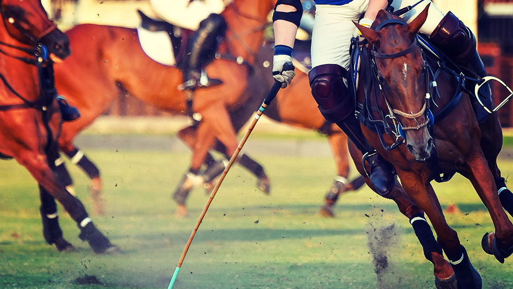 Sports | Polo, Cowdray Gold Cup, July, West Sussex, UK