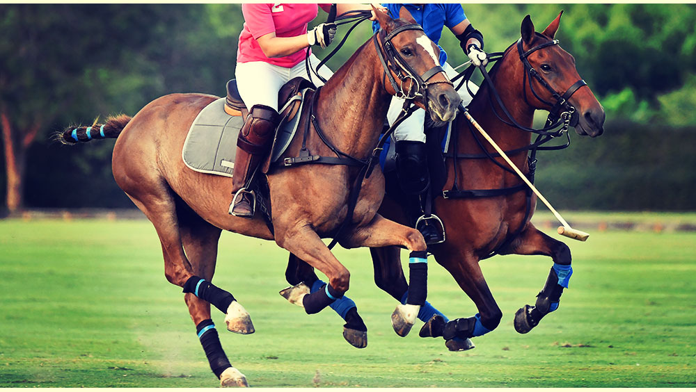 Sports | Polo, The International Day, July, Windsor, UK