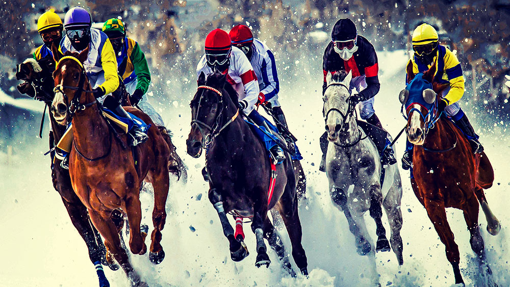 Sports | Equestrian, White Turf, February, St Moritz, Switzerland