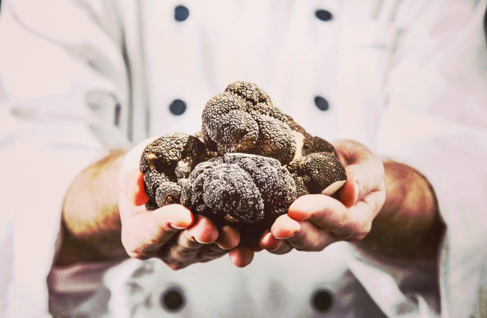 Hunting Season in Italy’s Truffle Country