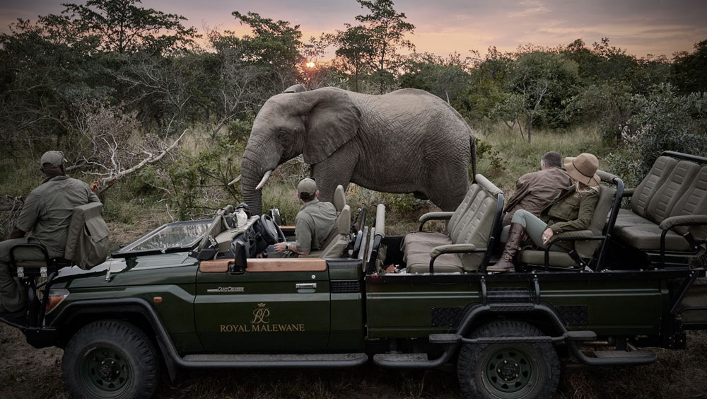 Luxury Experiences | Royal Malewane, Luxury Safari lodge, South Africa Greater Kruger National Park