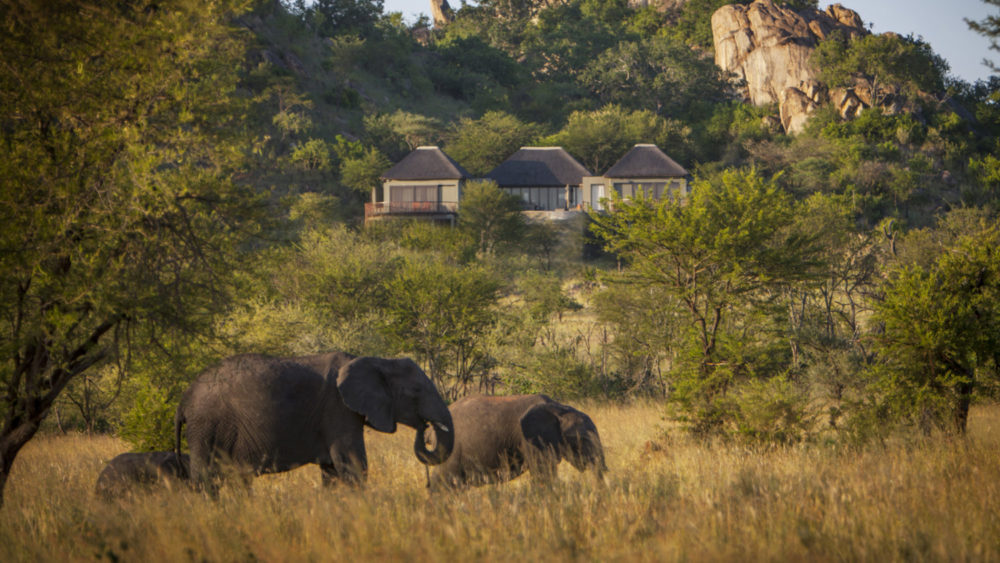 Make Four Seasons your Safari home this August with a new private villa experience