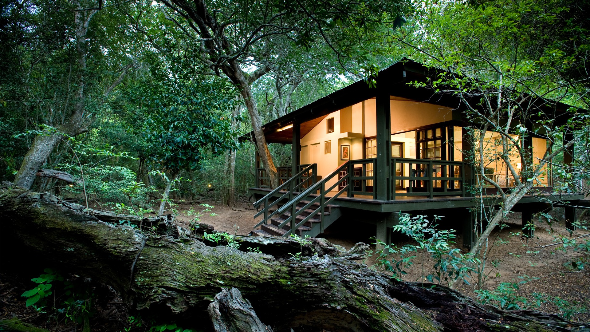 Discover the newly renovated Phinda Forest Lodge by andBeyond in the heart of Africa’s Sand Forest