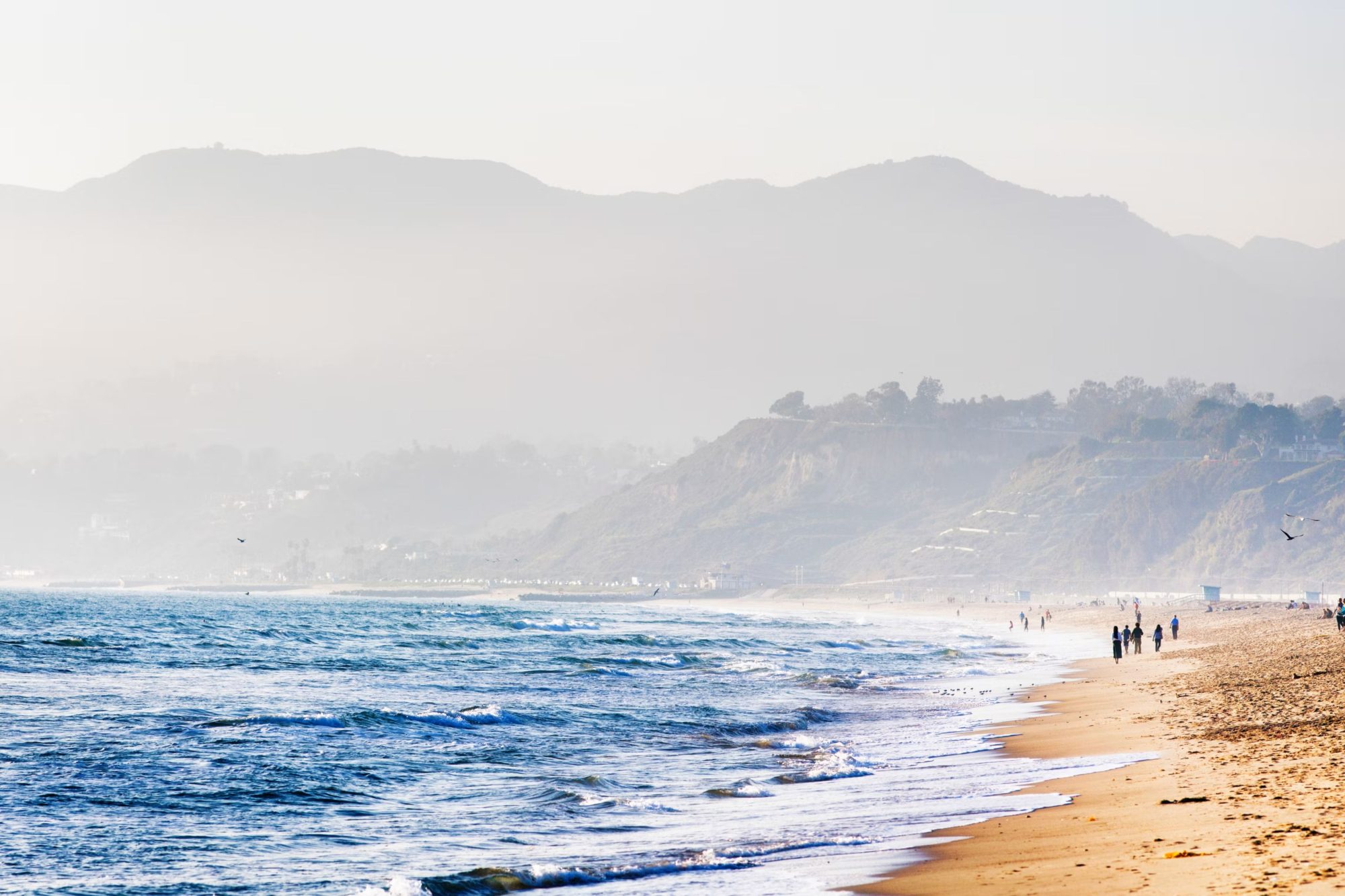 Regent Santa Monica Beach: A timeless sanctuary, nurturing a legacy that spans generations