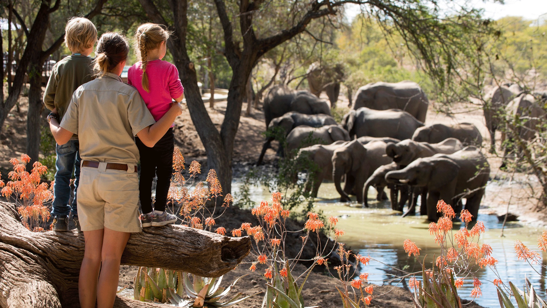 Inside &Beyond’s grand debut of the Kenya Suyian Lodge in Laikipia