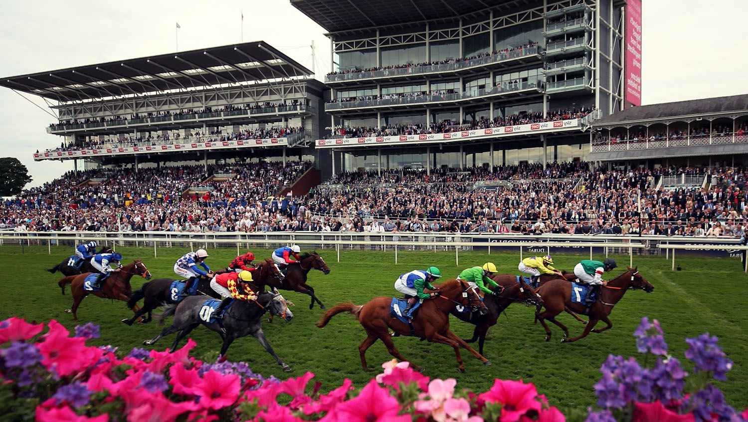 Sports | Equestrian, Ebor Festival, August, York Race Course