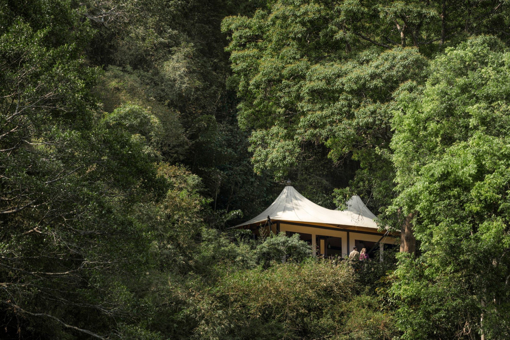 Four Seasons Tented Camp Golden Triangle offers a magical escape