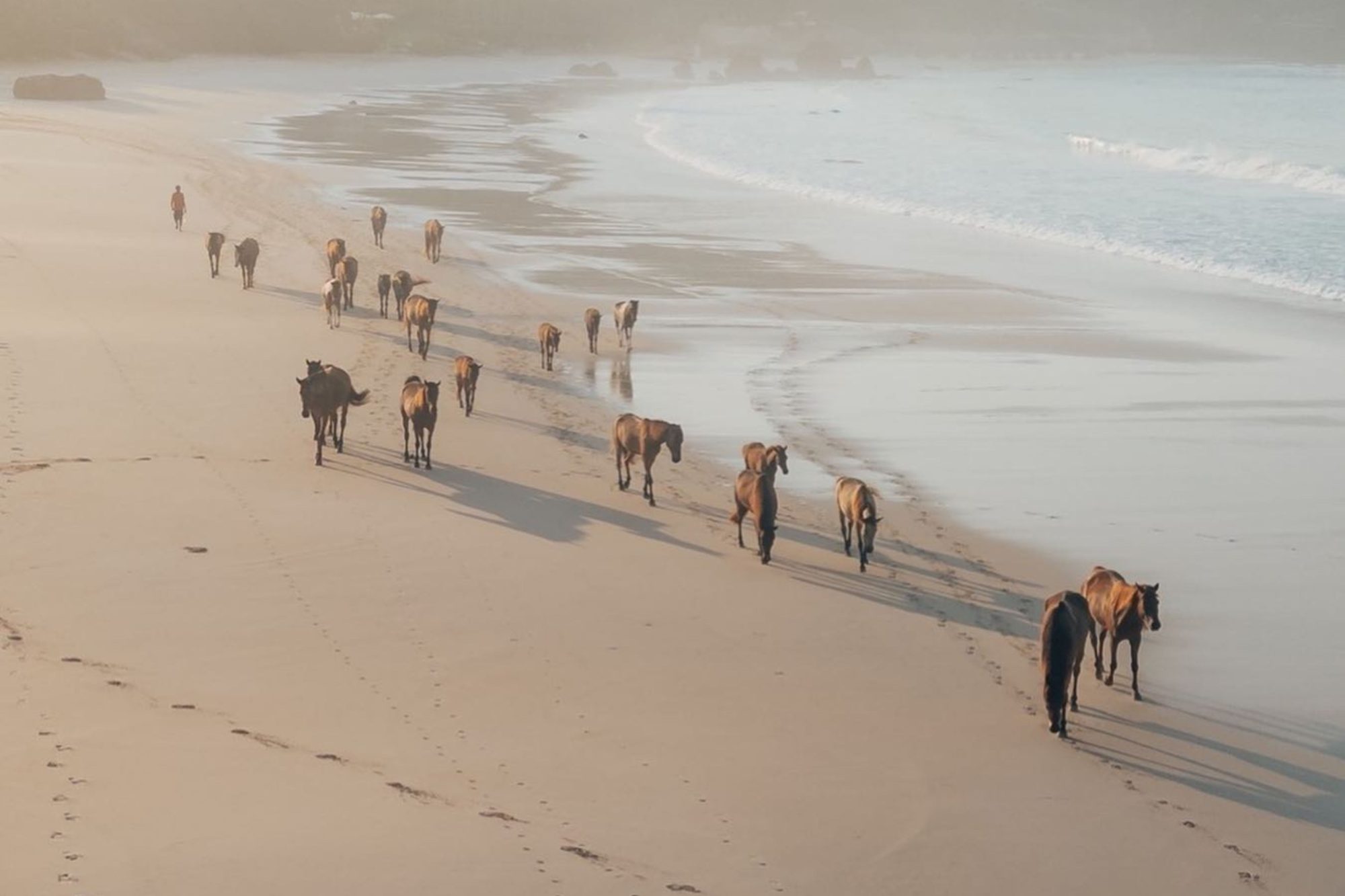 Unwind in Untamed Beauty: A Journey to Tranquility at Nihi Sumba