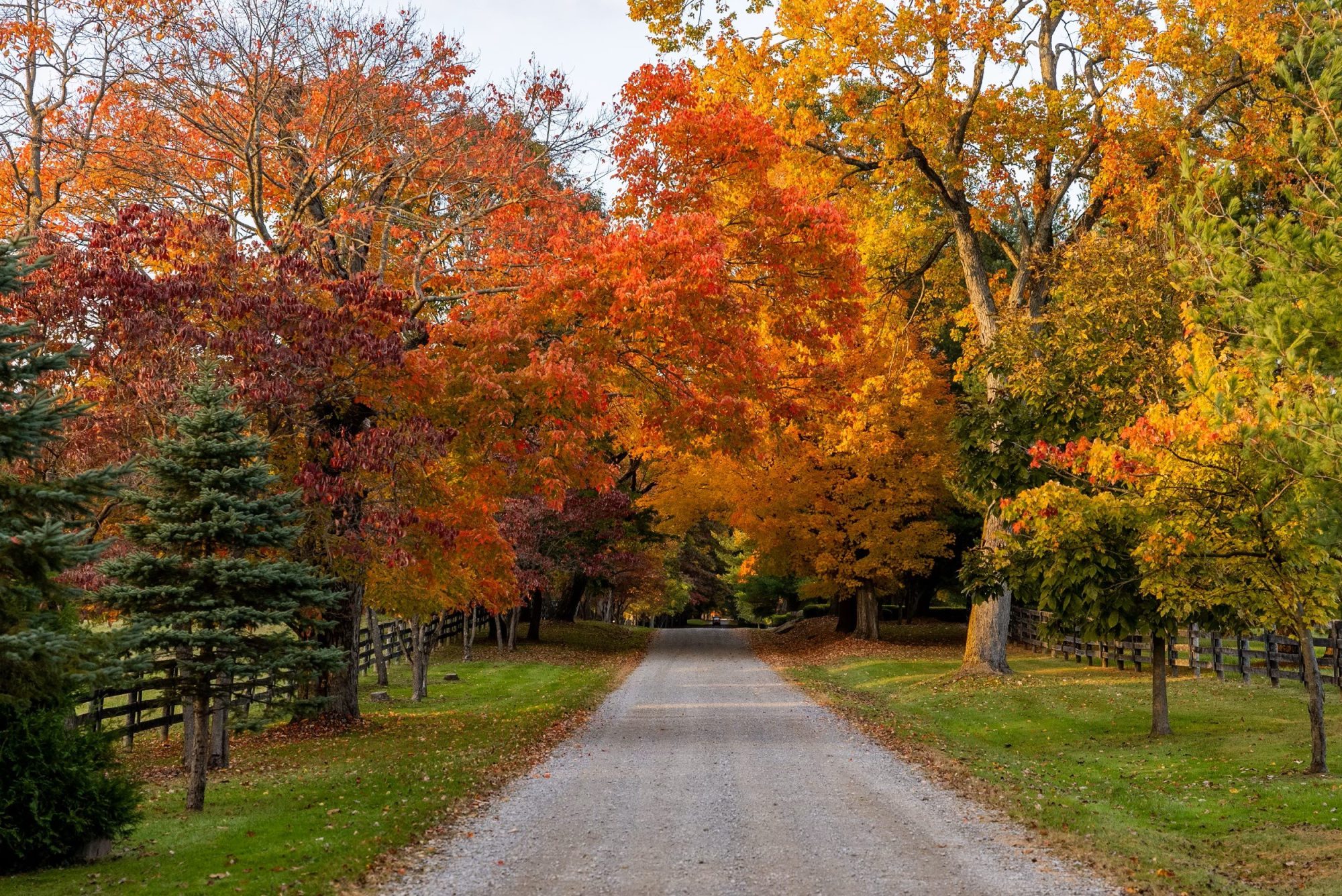 Seasonal Wellness Awaits at Six Senses RiverStone Estate in Pennsylvania