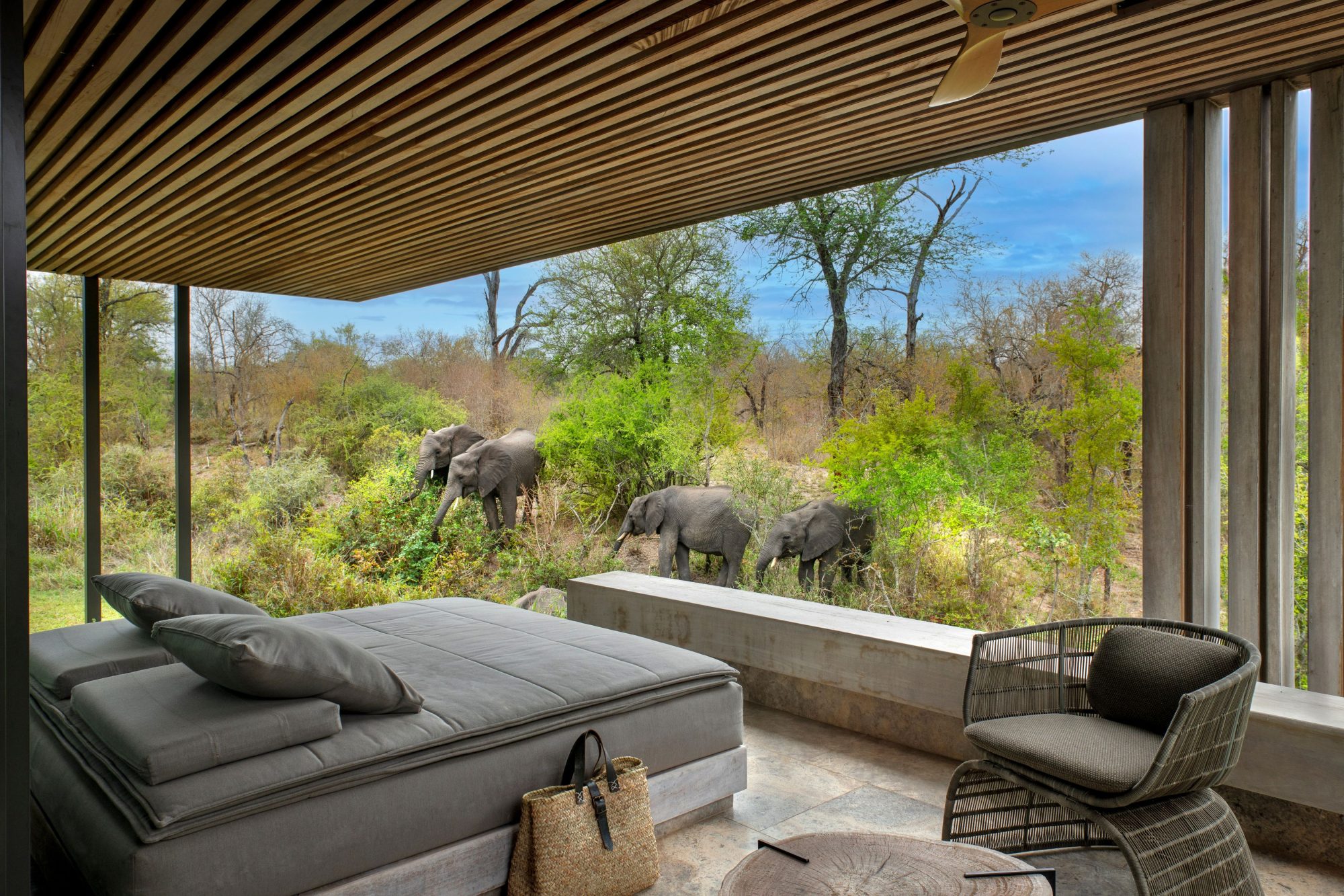 Cheetah Plains: Eco-luxury redefined in Sabi Sand’s exclusive safari lodge