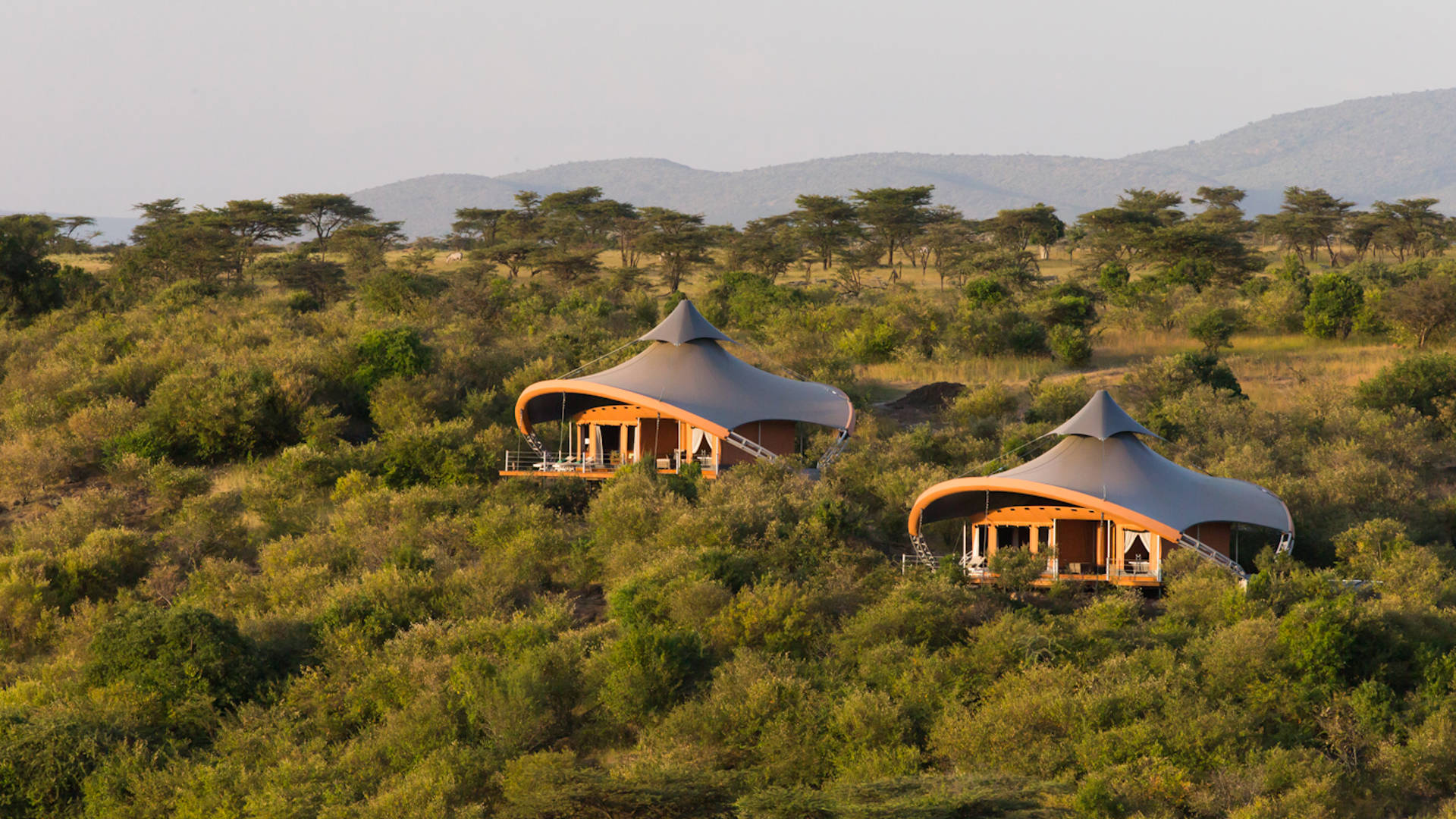 Explore the most wildlife-rich parts of the Mara ecosystem at Mahali Mzuri